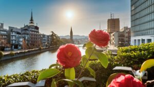 都市の川辺に咲く椿