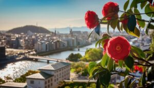 高台から街を望む椿