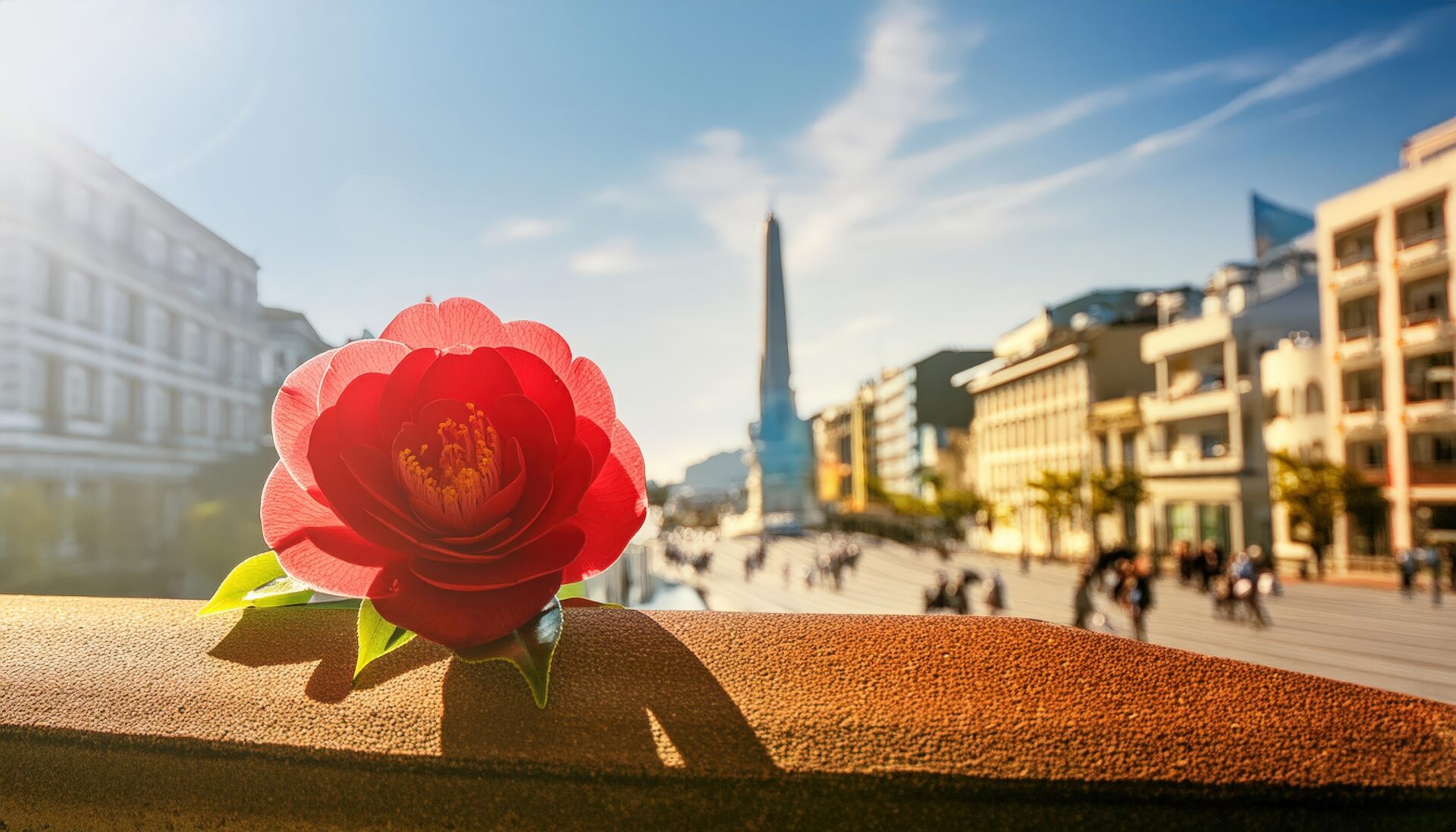 街中の橋に咲く椿