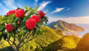 山の絶景と椿の花