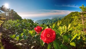 山と海を望む椿