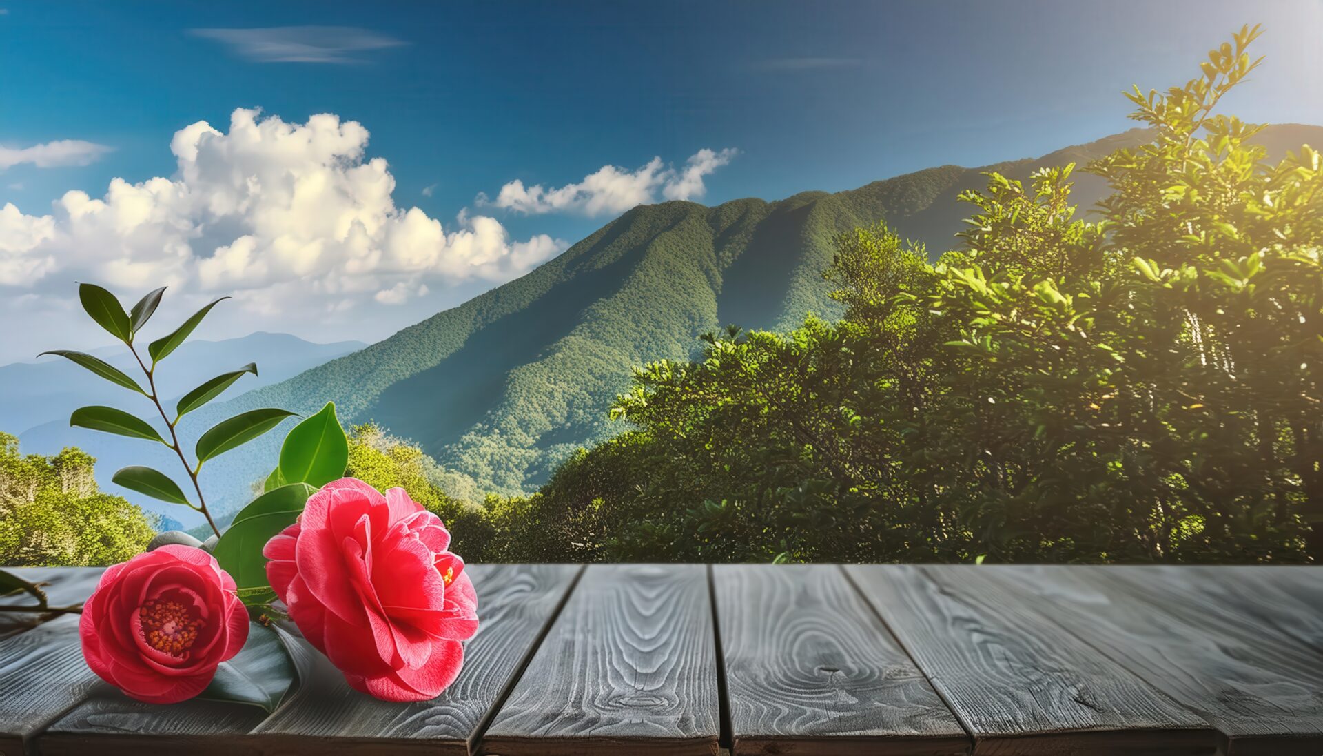 木のテーブルと椿の花