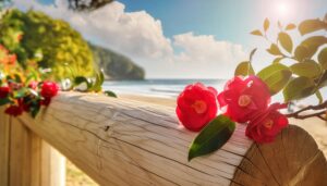 海辺に咲く椿の花