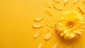 黄色のテーブルに菊