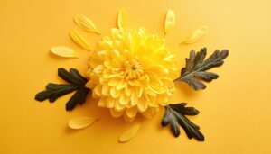 菊の花と葉の構成