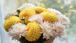 菊のブーケと自然光