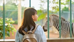 笑顔でシマウマを見る少女