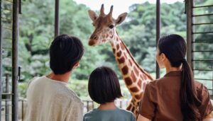 キリンを見学する家族