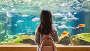 水槽を見つめる少女