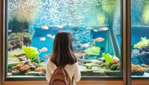 サンゴと魚を観察する少女