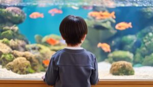 静かに魚を見つめる子供