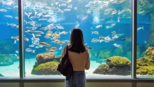 魚の群れと水中の世界