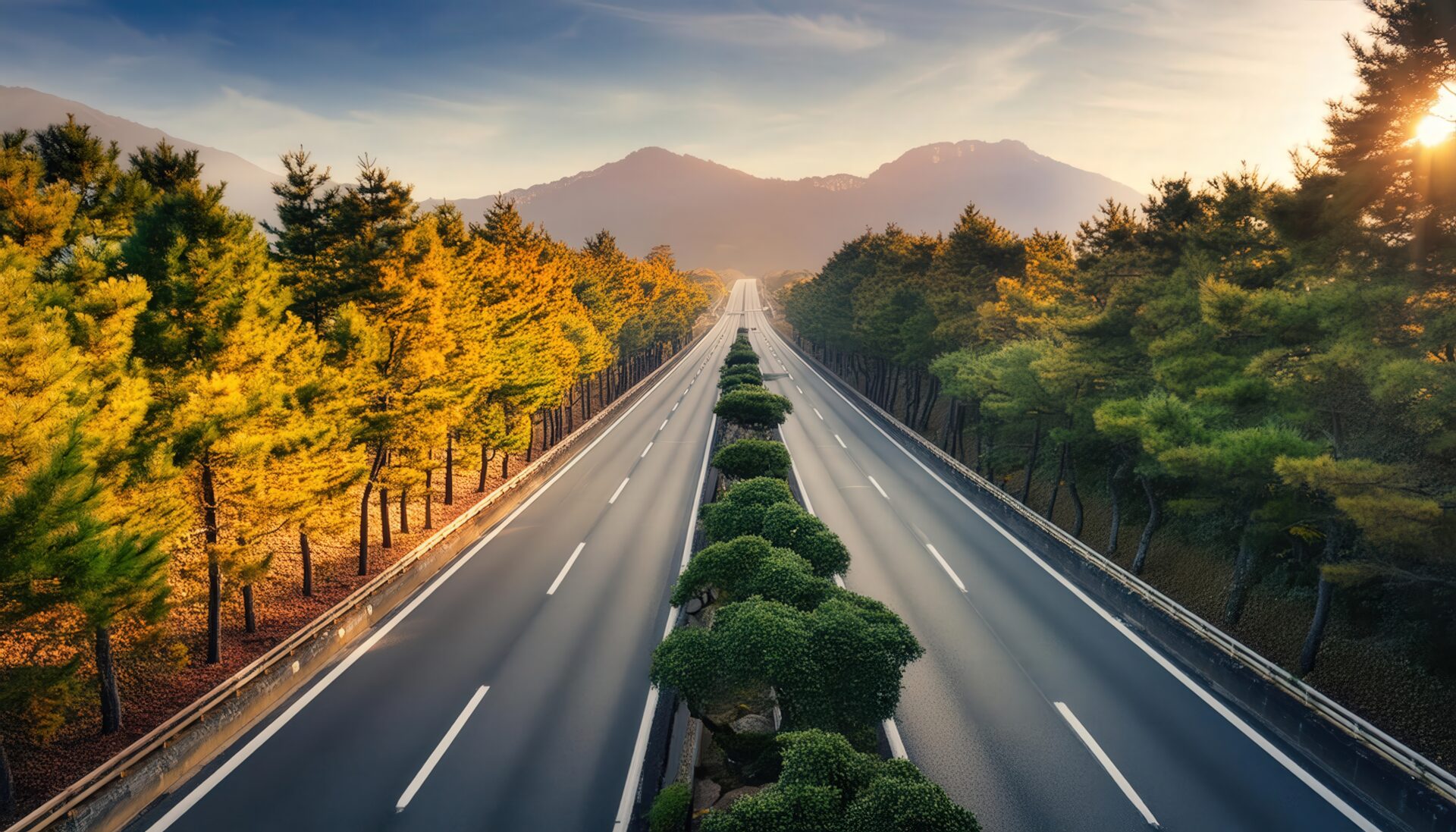 両側に木々が並ぶ高速道路の直線