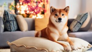 華やかな背景の柴犬