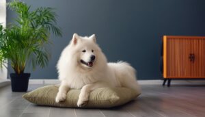 落ち着いた空間でくつろぐ白い犬