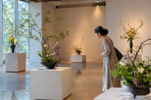 展示会で生け花の作品を鑑賞する30代女性