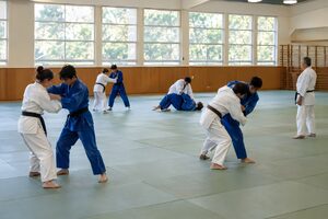 緑の畳で複数の組が稽古する柔道場の全景