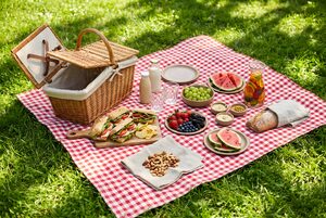 芝生に広げたピクニックの食べ物
