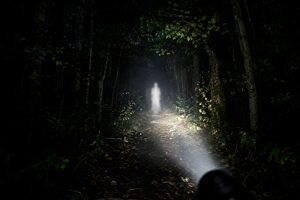 懐中電灯に照らされた夜の森の白い人影