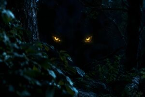 夜の森の闇から光る怪物の目