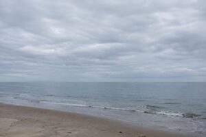 曇り空の下の静かな海辺
