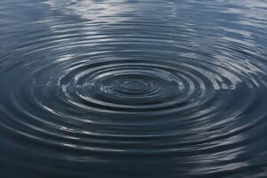 暗い水面に広がる波紋