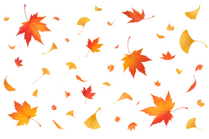 舞い散る紅葉といちょう（背景透過）