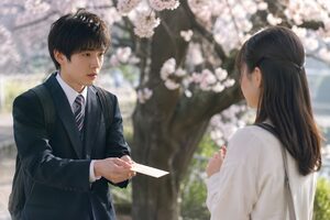 桜の木の下で手紙を渡す若い男性