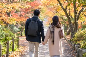 秋の並木道を手をつないで歩くカップル