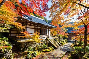 紅葉に囲まれた山寺
