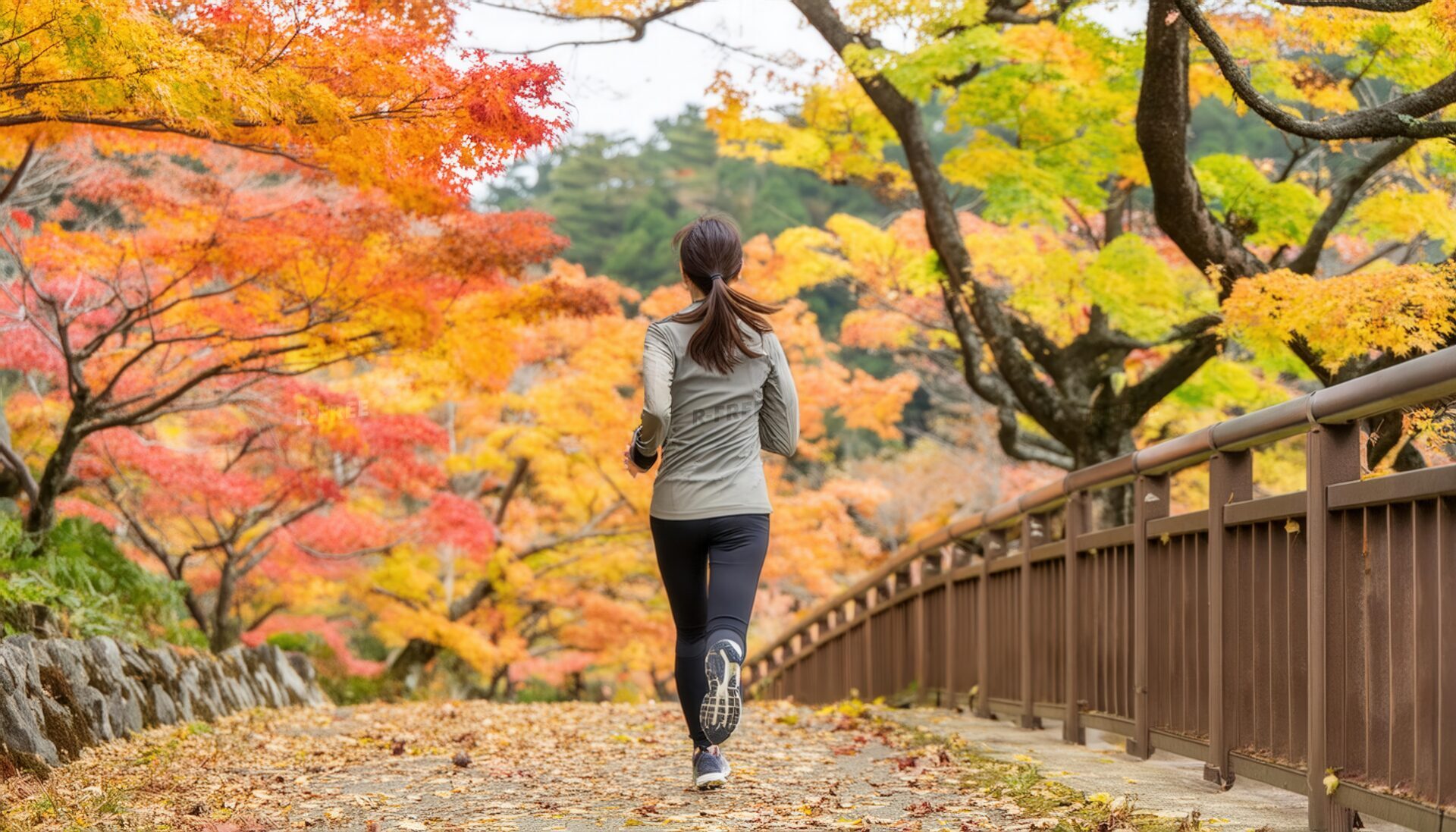紅葉の遊歩道をランニングする女性