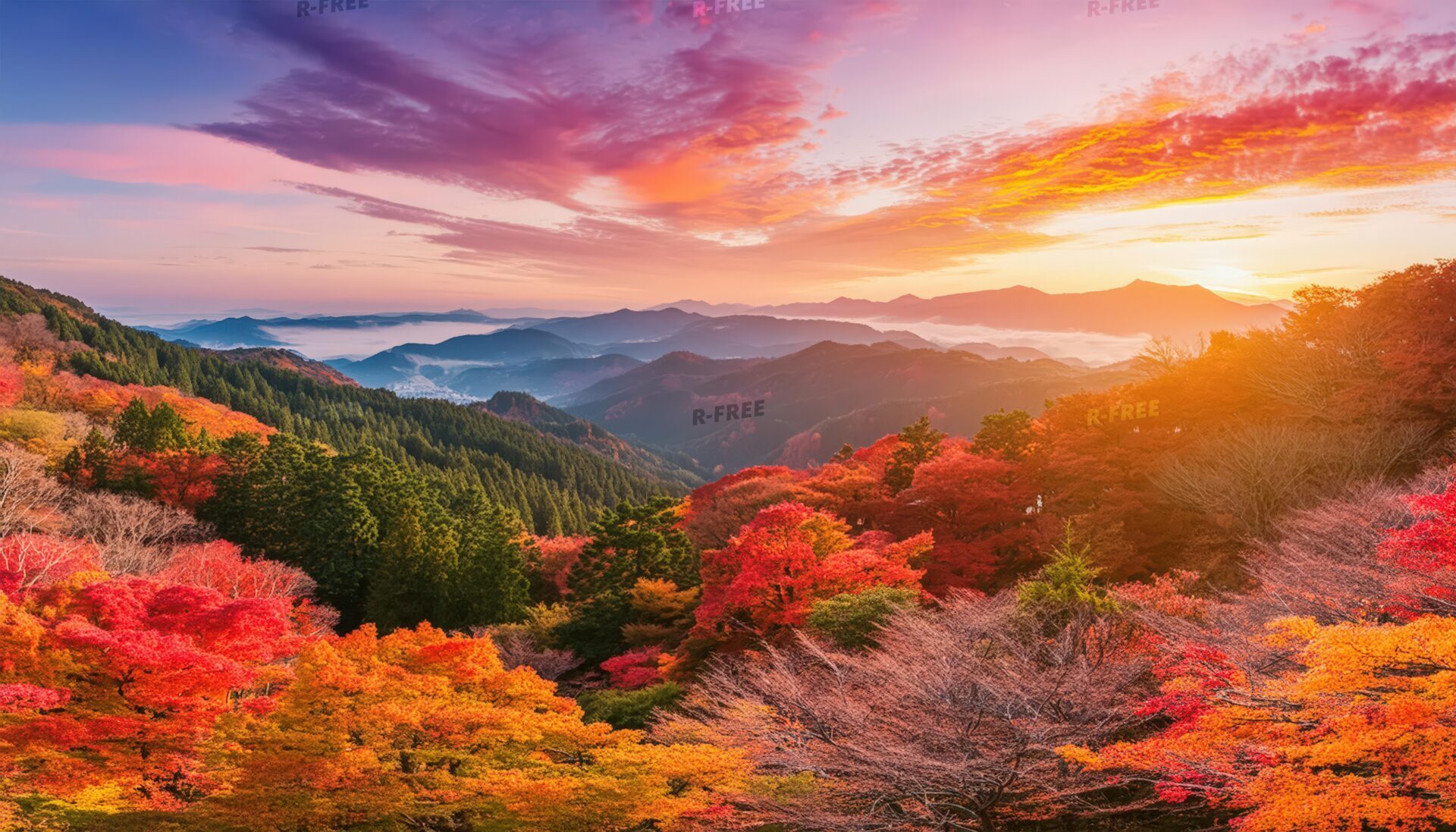 秋の山々と夕焼けが広がる絶景