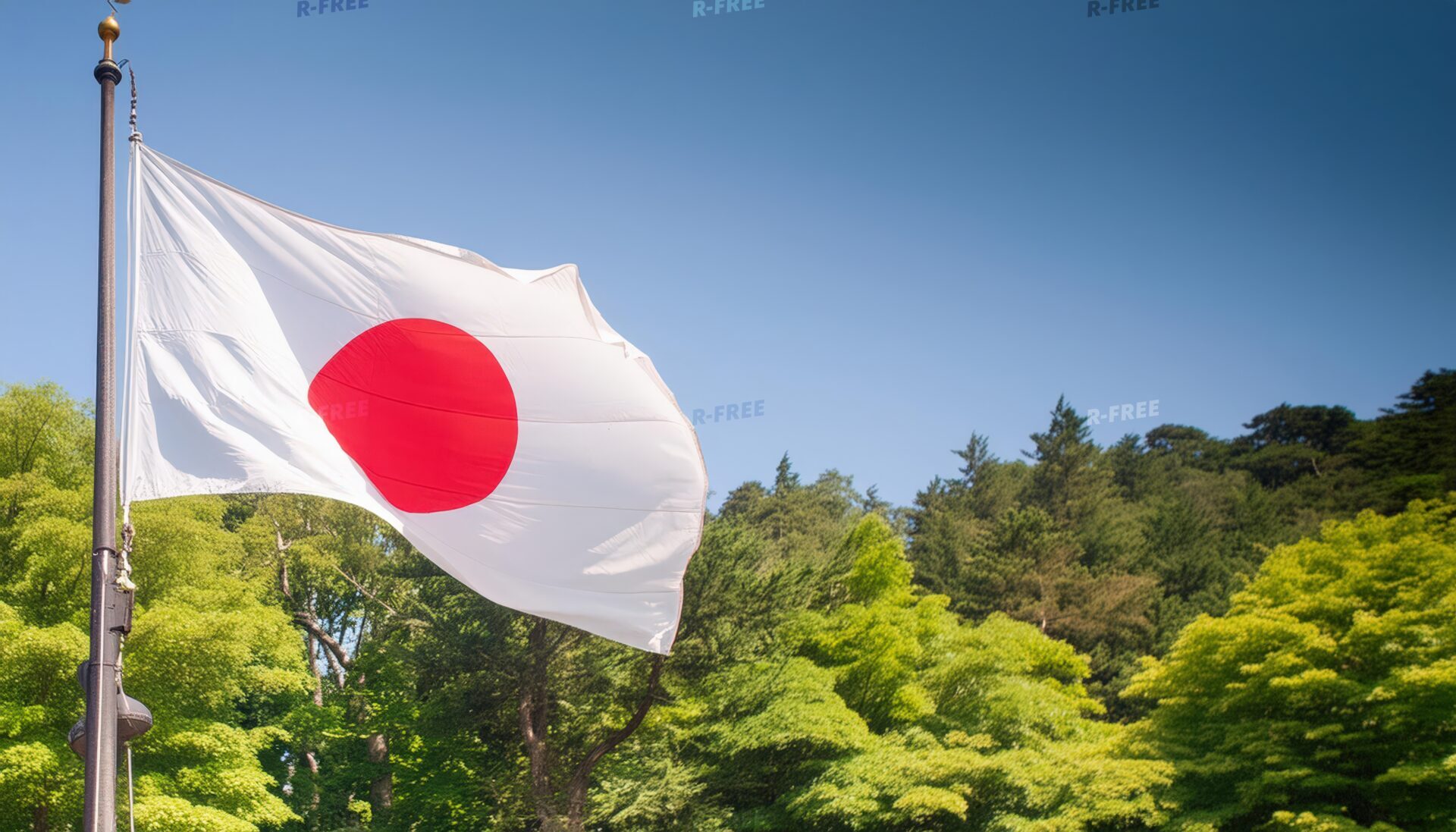 日本の国旗と新緑