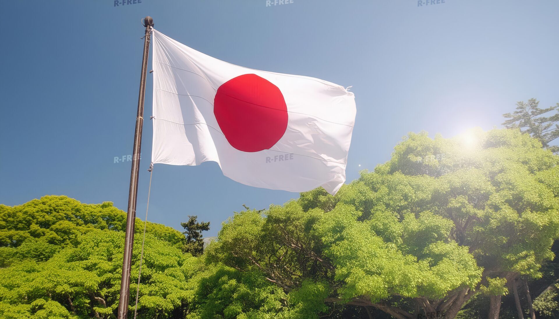 木々に囲まれた日本の国旗