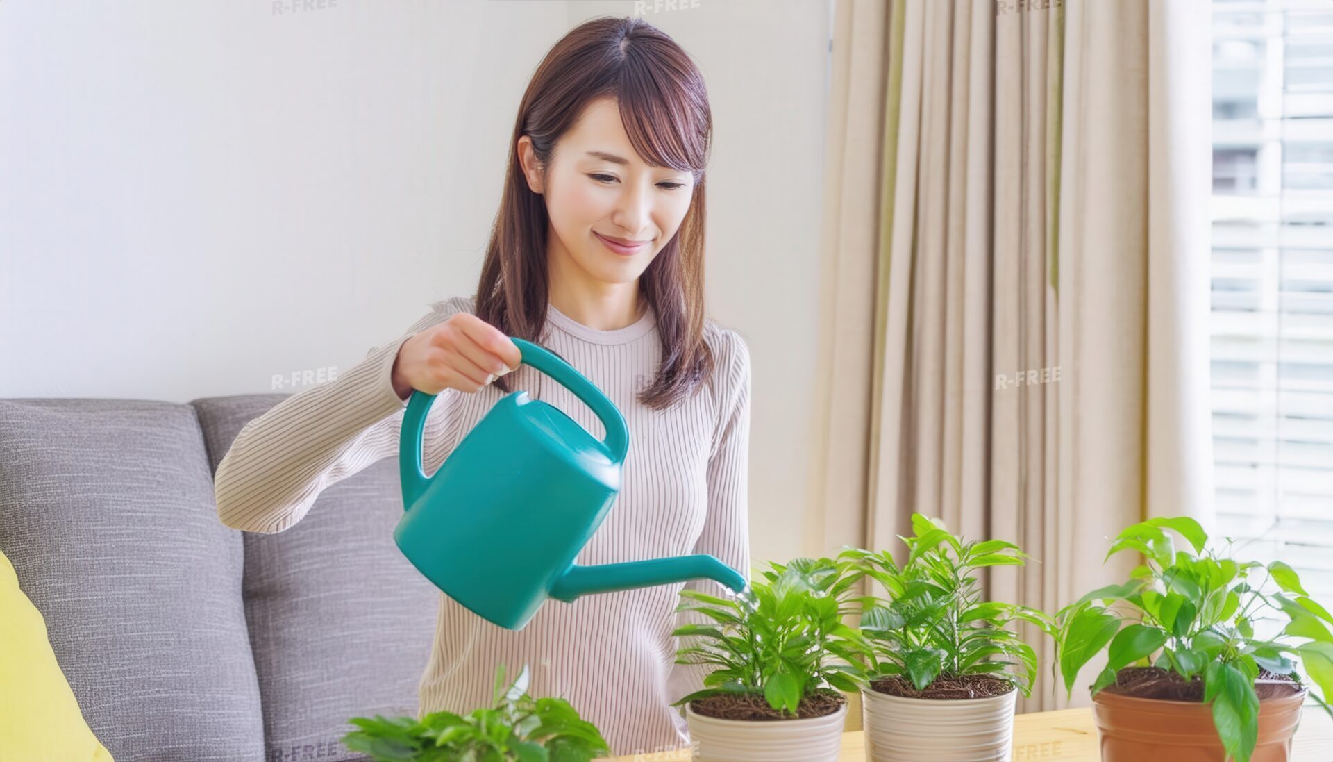 観葉植物にジョウロで水をやる女性