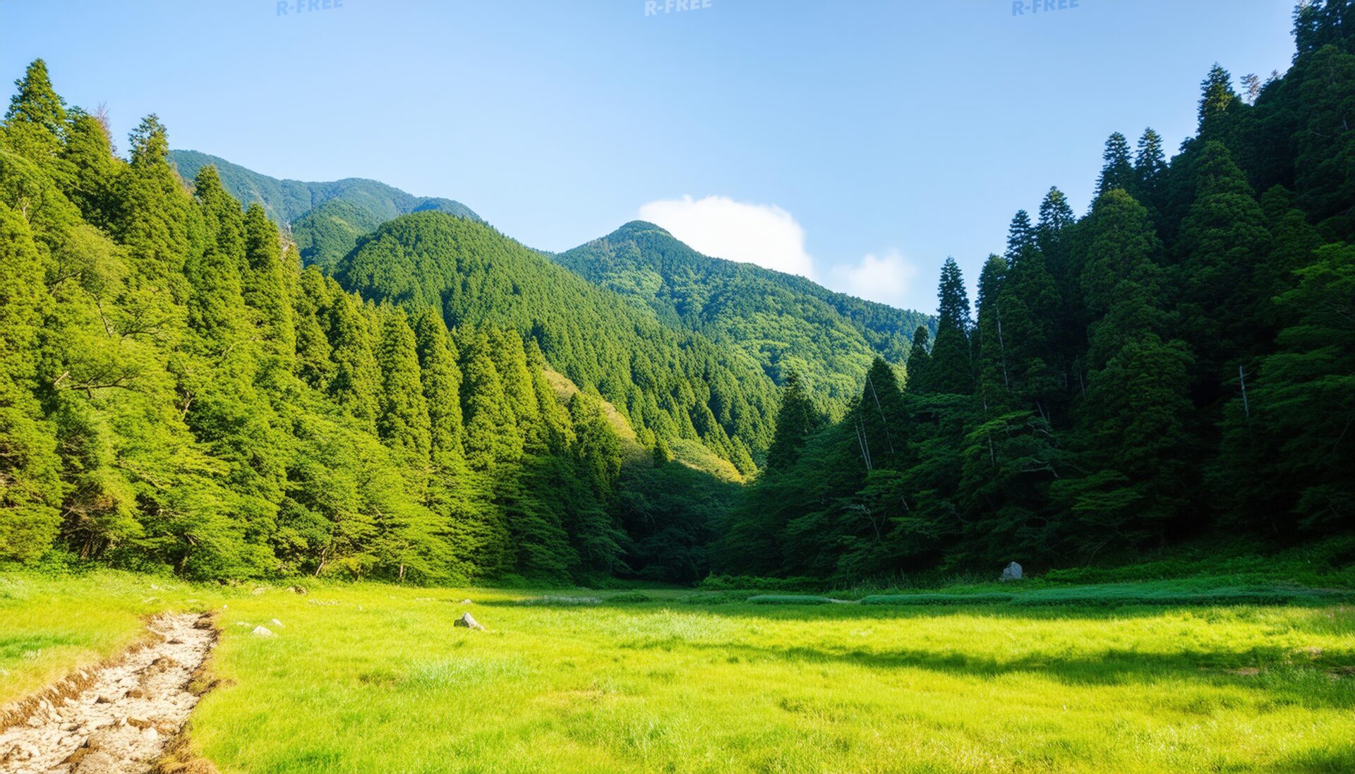 森に囲まれた草原
