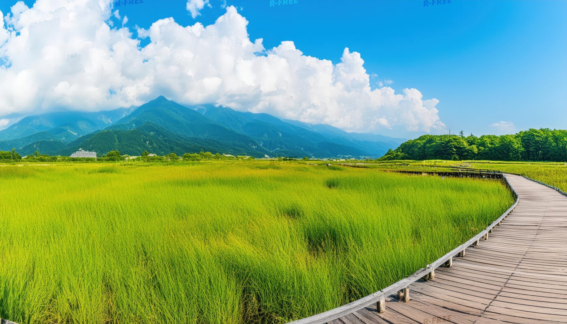 青空と湿原