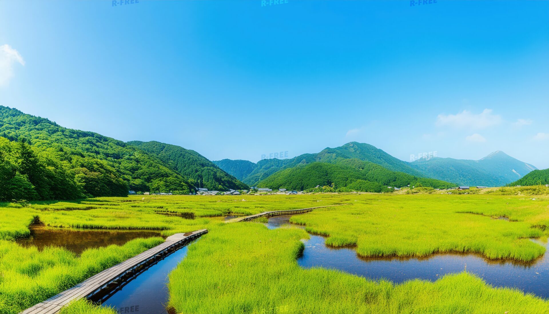 湿原の広がり