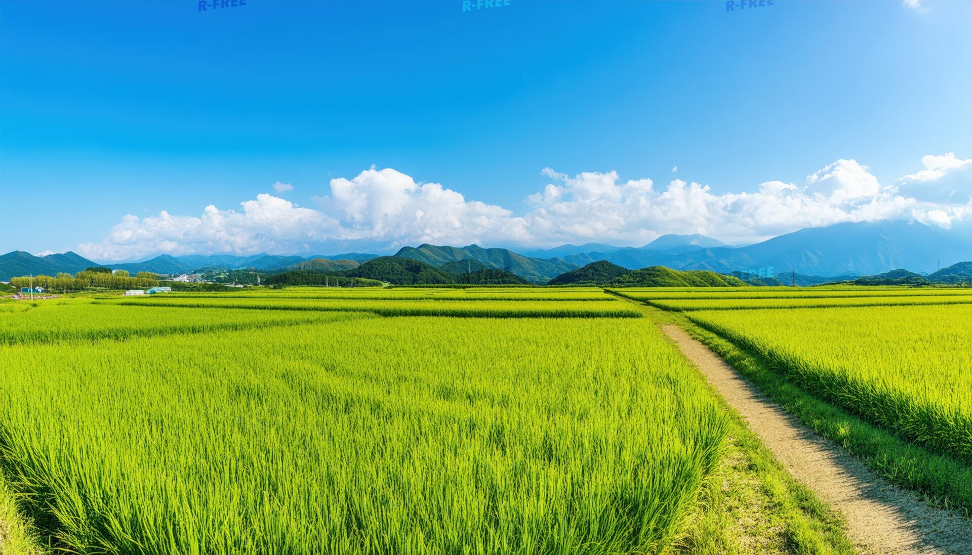 田園と農道