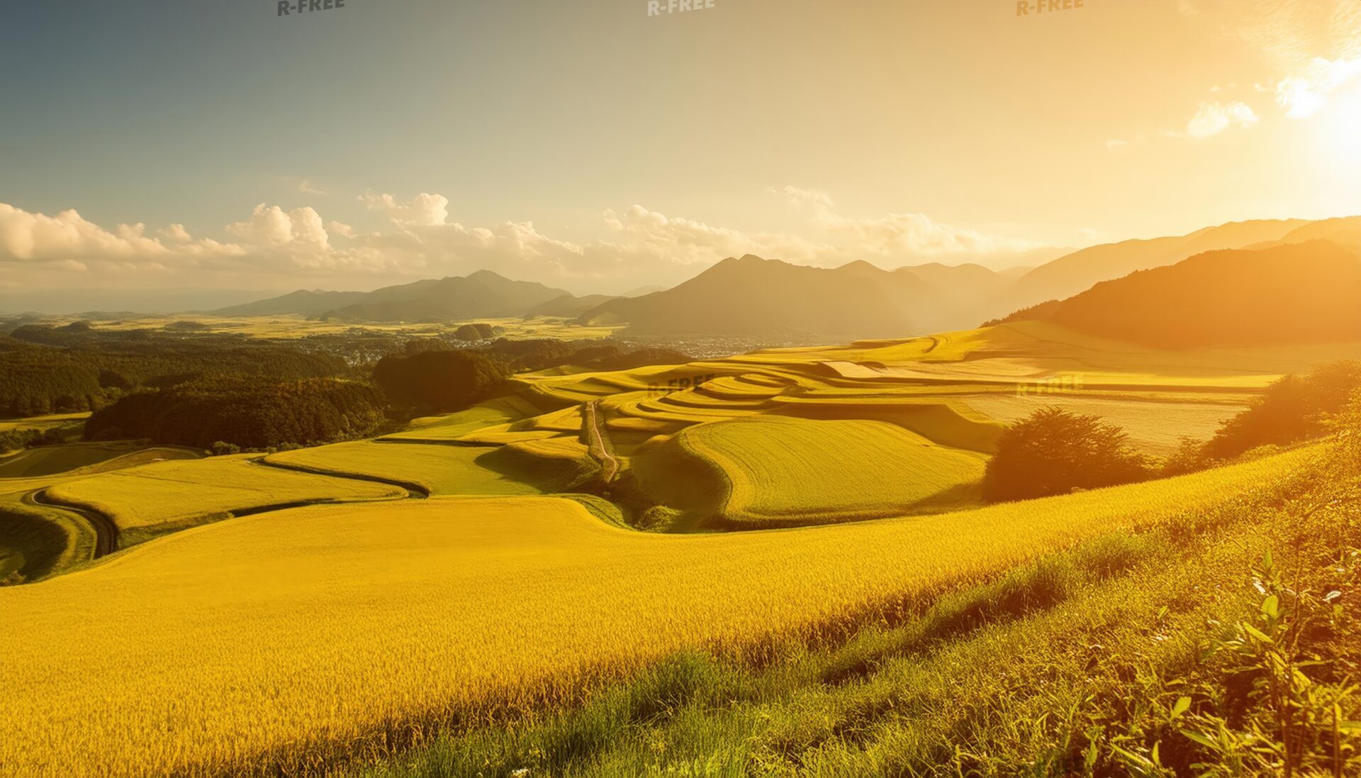 夕陽の田園地帯