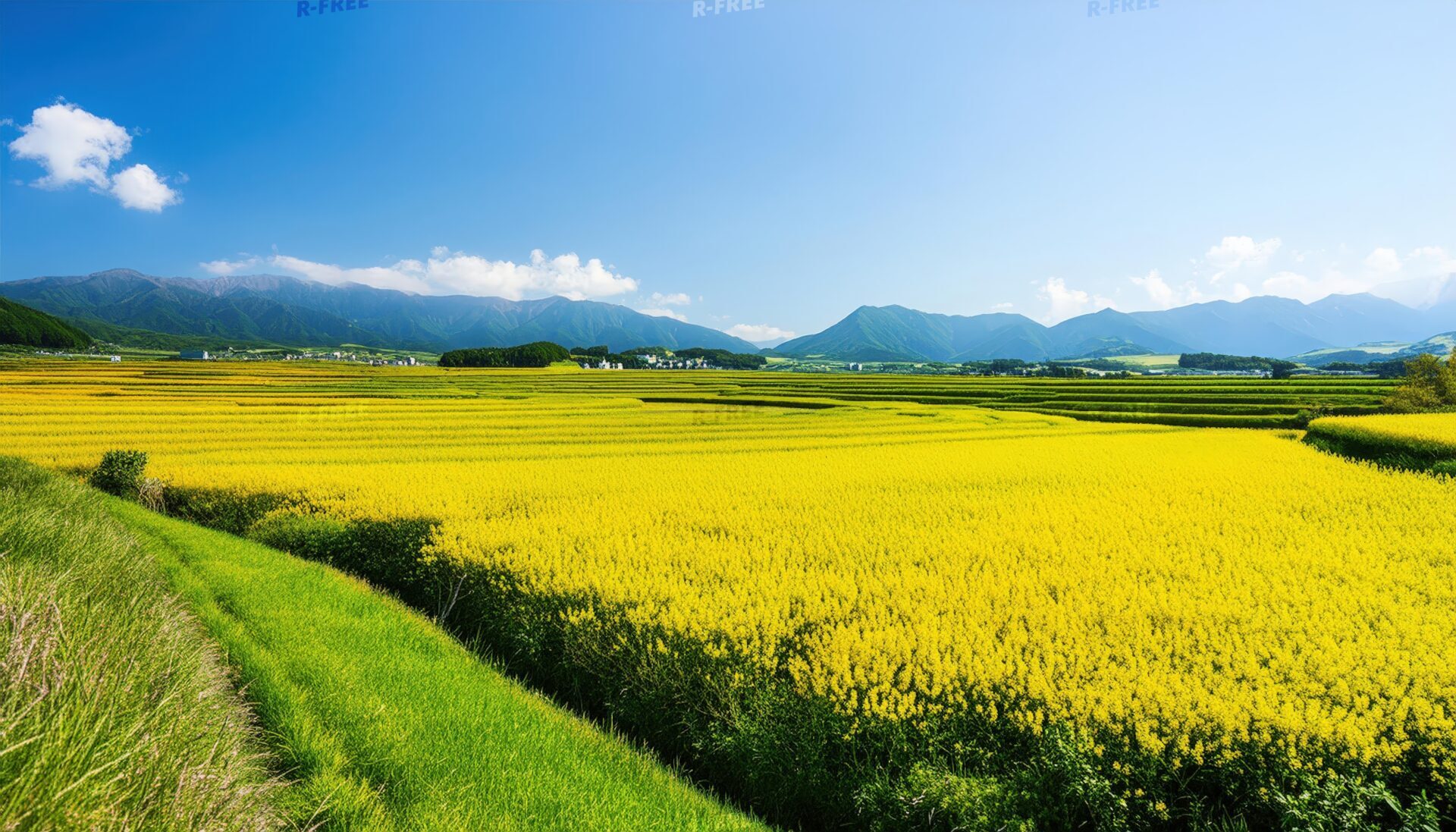 山と菜の花畑
