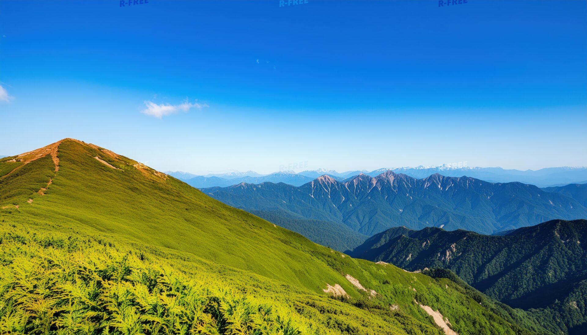 夏山の稜線