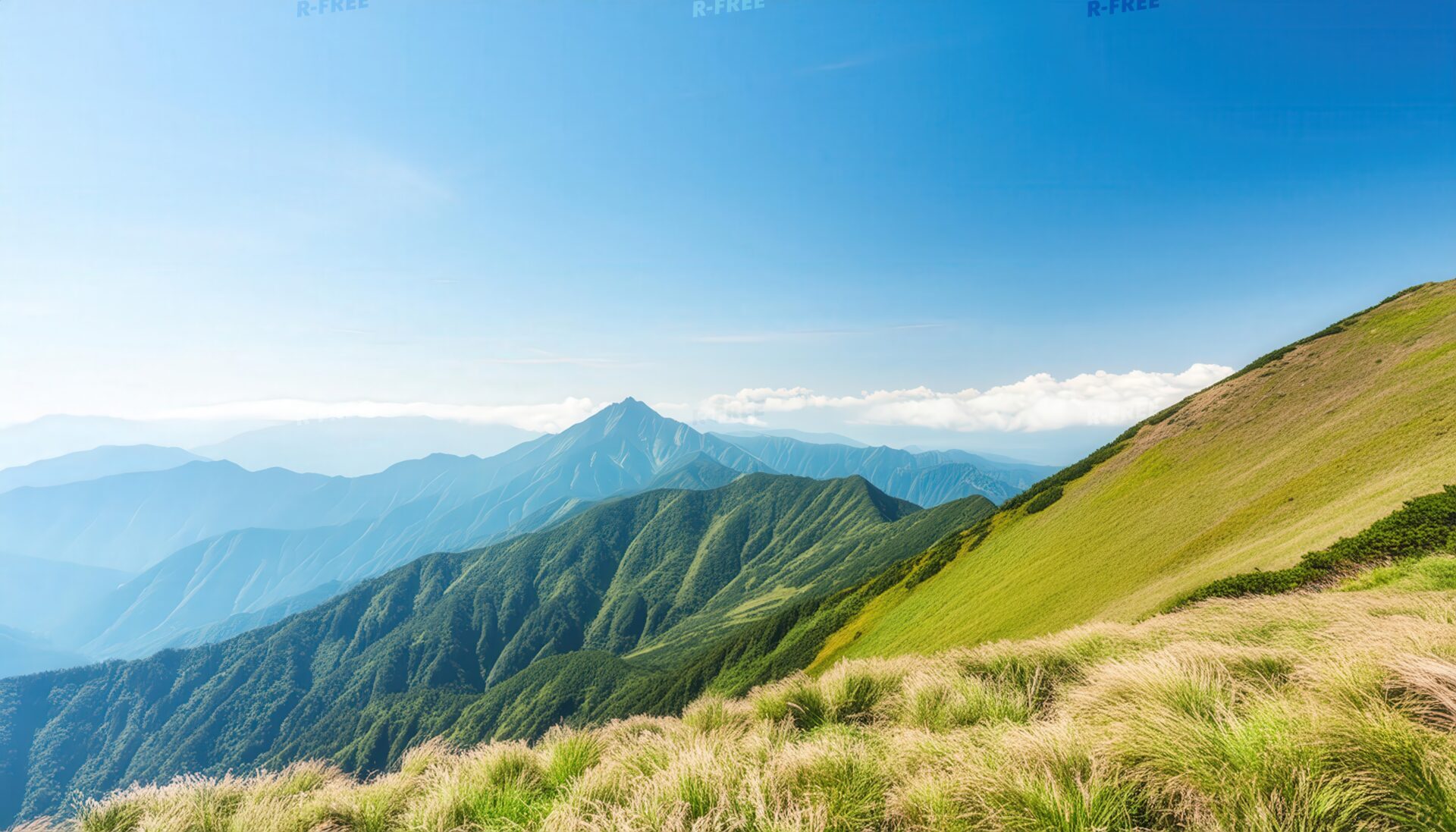 草原と遠くの山々