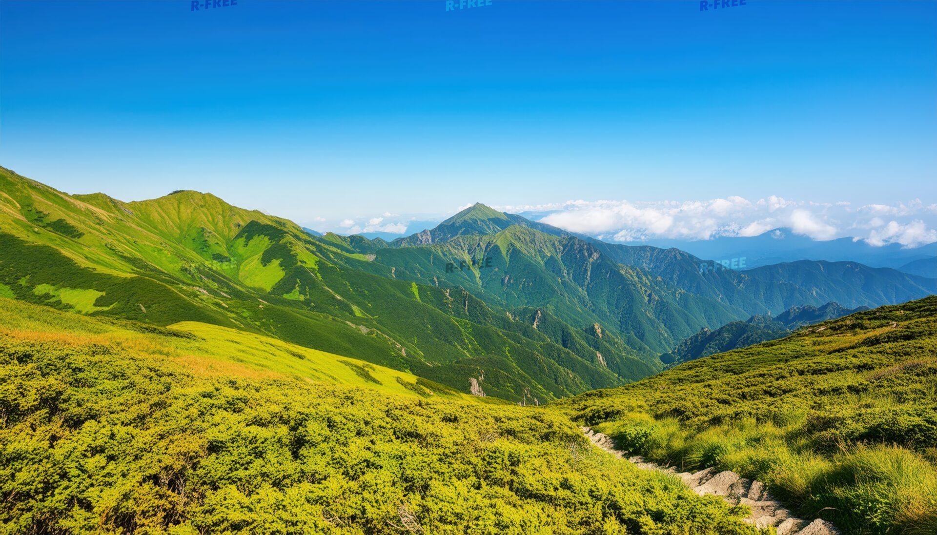 夏山と登山道