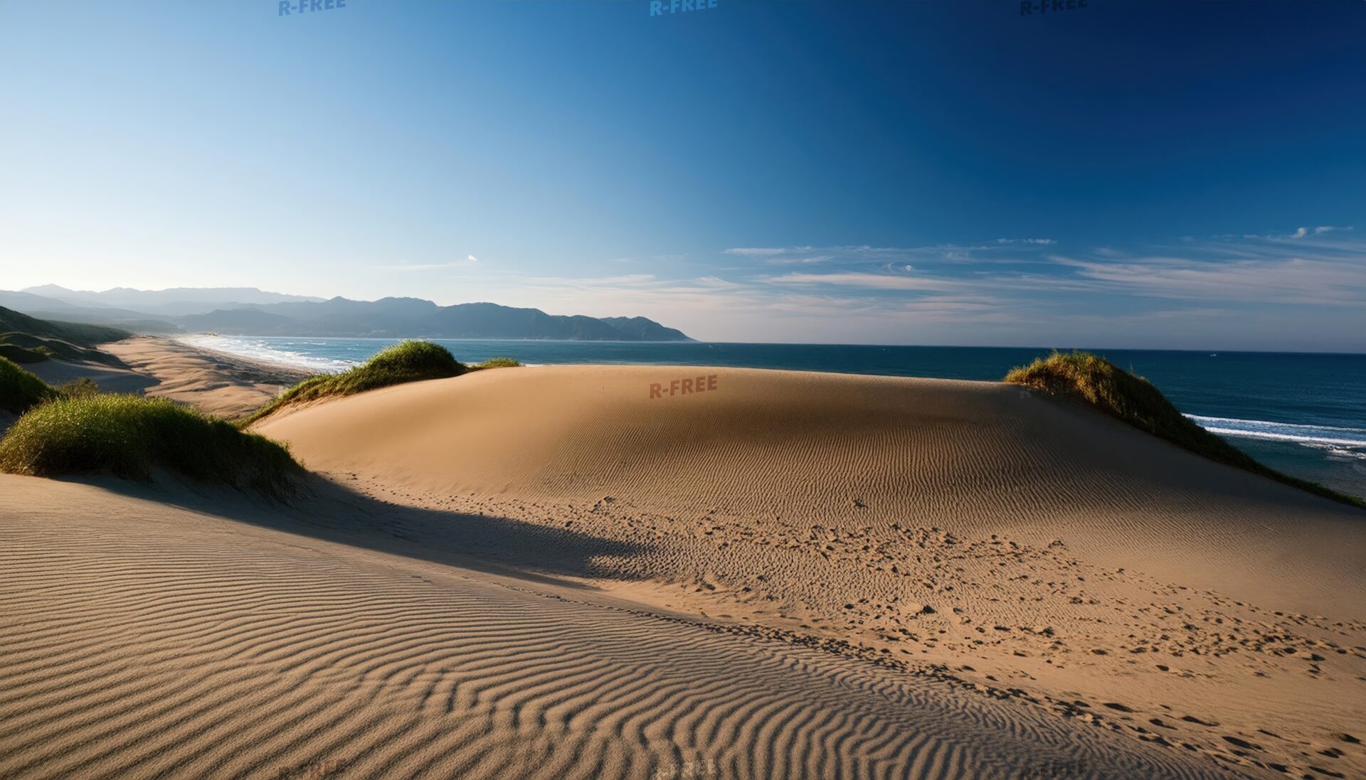 青い海を望む砂丘の風景