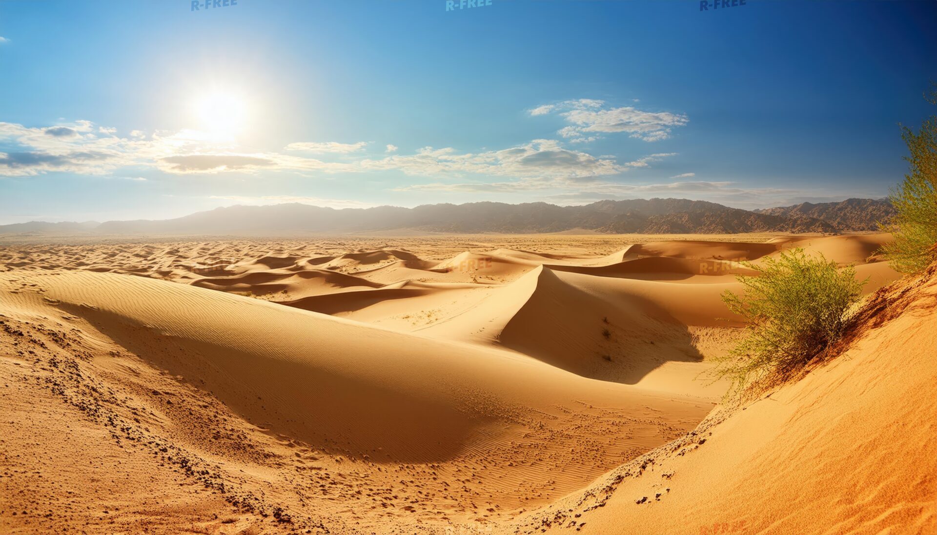 太陽と砂丘の絶景