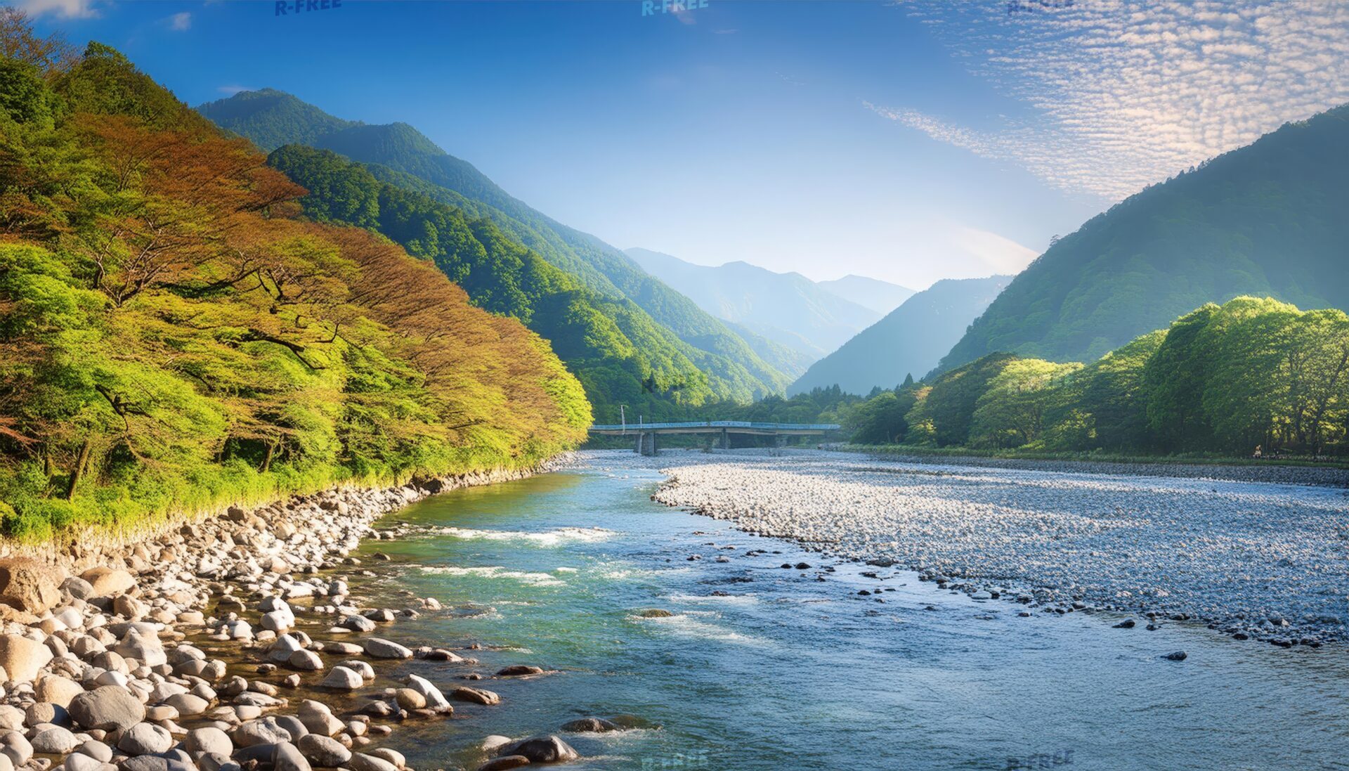 川辺の自然と橋