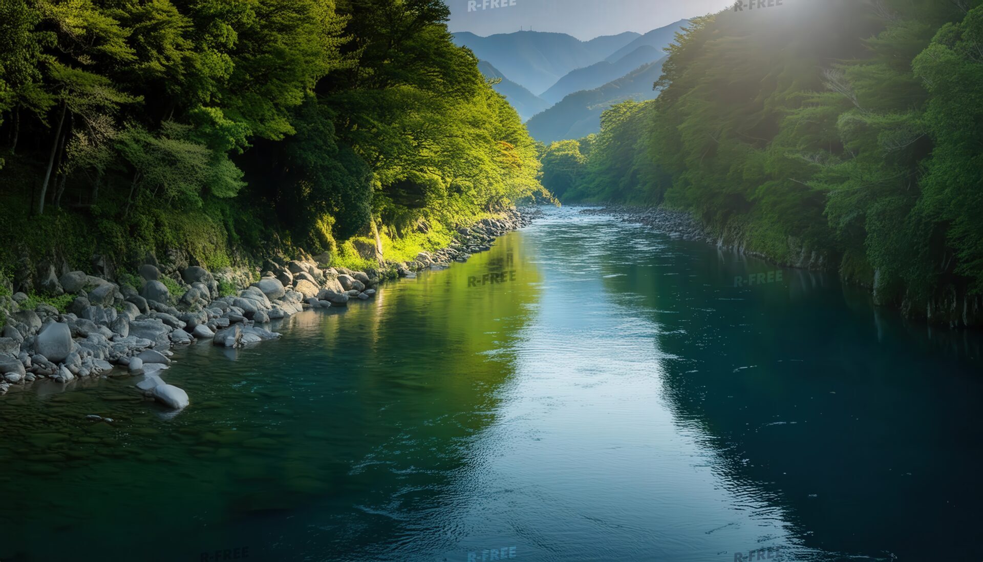 日差しと渓流