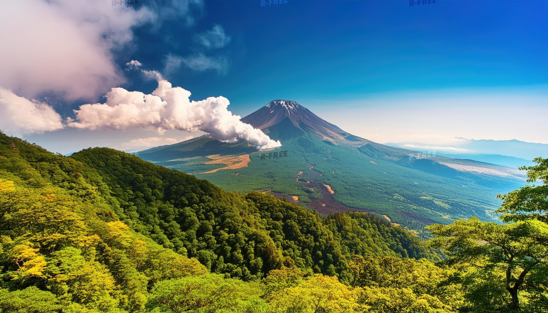 富士山と雲海