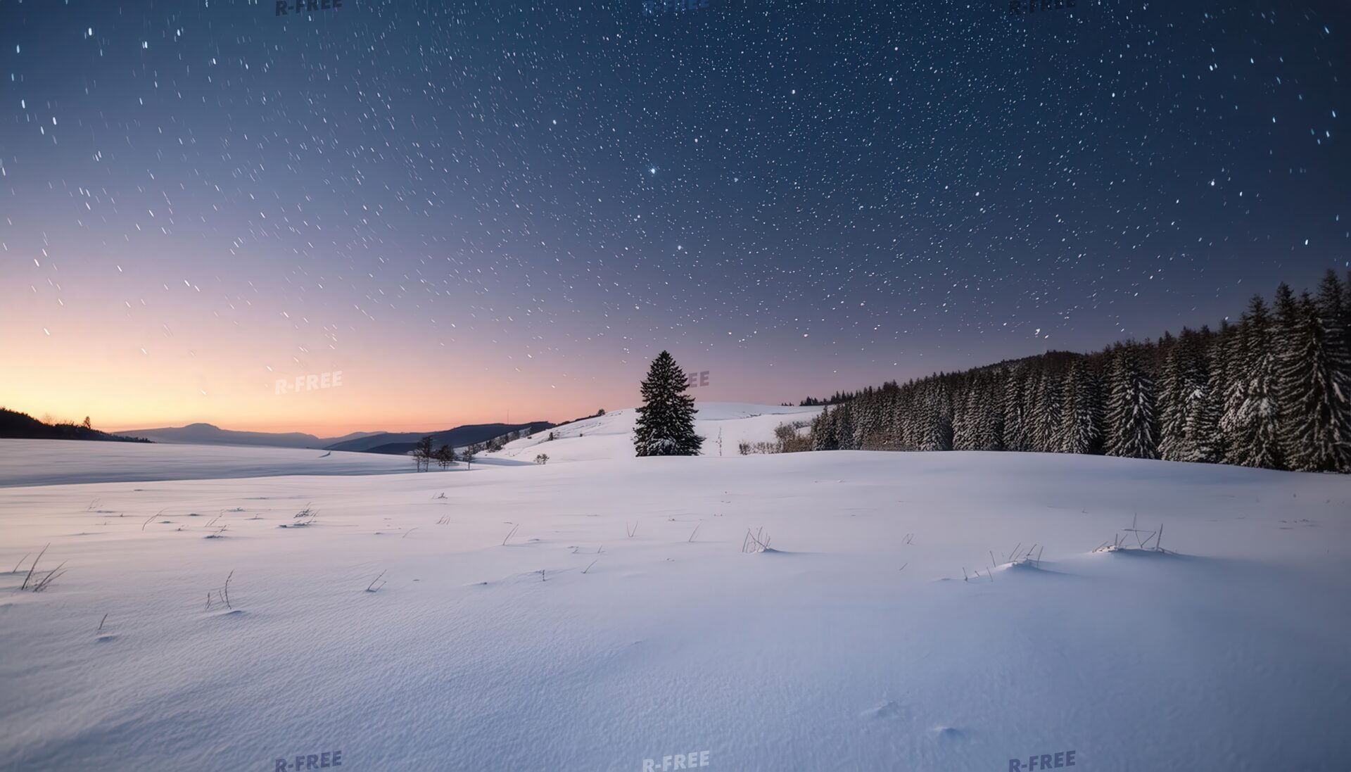 夜空に輝く星と雪原